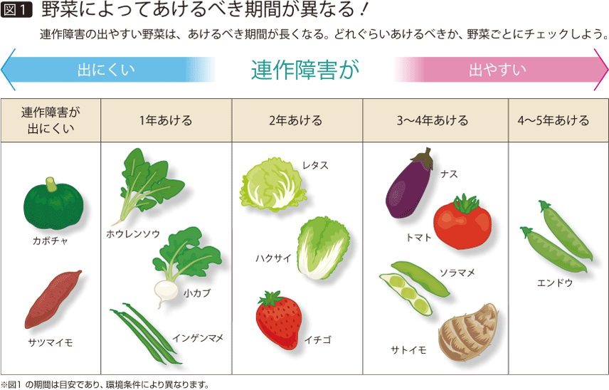 【図1】野菜によってあけるべき時期が異なる！