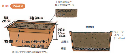 第1図タネまき