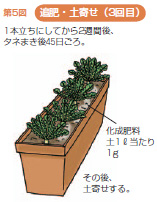 第5図追肥・土寄せ(3回目)
