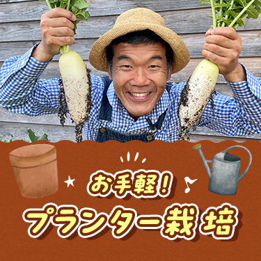 お手軽！プランター菜園