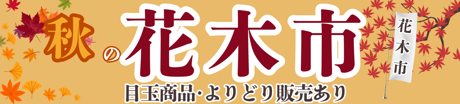 秋の植木市 目玉商品あり