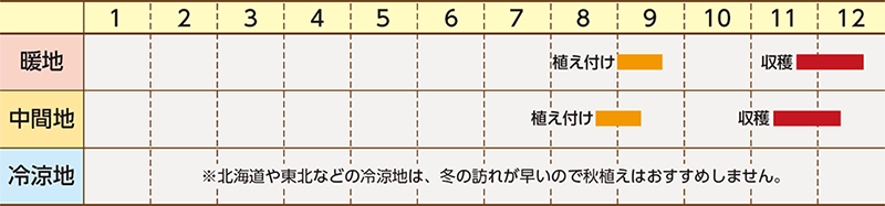 秋ジャガ栽培カレンダー