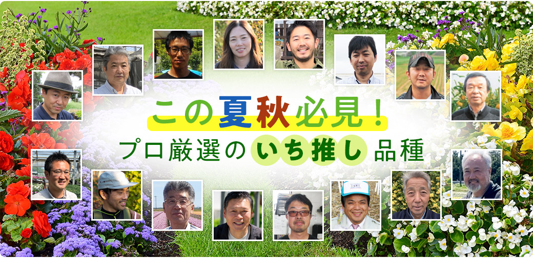 この夏秋必見！プロ厳選の一押し品種