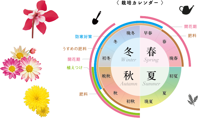 栽培カレンダー