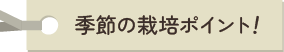 季節の栽培ポイント