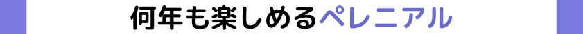 何年も楽しめるペレニアル