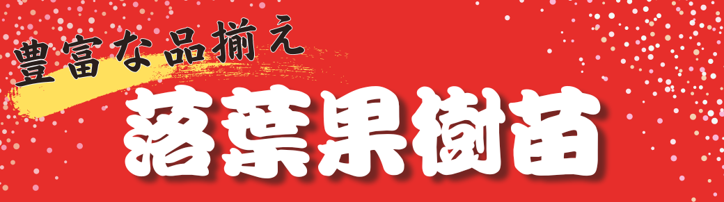 落葉果樹苗
