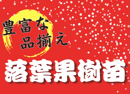 落葉果樹苗