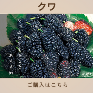 クワ