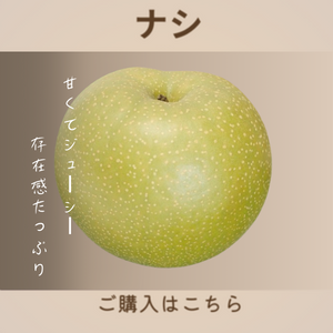 ナシ