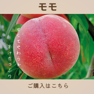 モモ