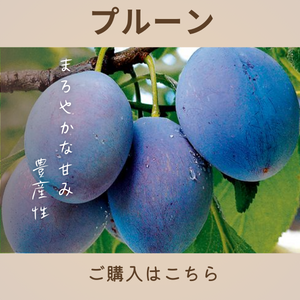 プルーン