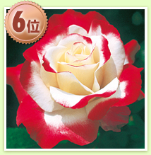 o@_uEfCg