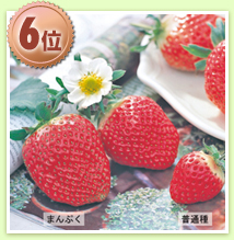 䕁@܂Ղ