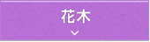 Ԗ