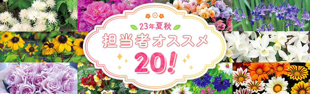 23年夏秋 担当オススメ20!