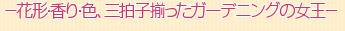 Ԍ`EEFAOqK[fjȌ