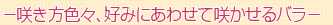炫FXAD݂ɂ킹č炩o
