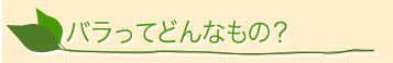 oĂǂȂ́H