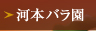 ͖{o