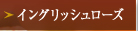 CObV[Y