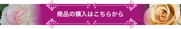 i̍w͂炩