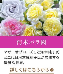 河本バラ園はこちらから