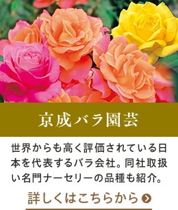 京成バラ園芸はこちらから
