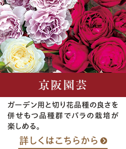 京阪園芸はこちらから