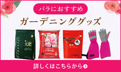 バラにおすすめガーデニンンググッズはこちらから