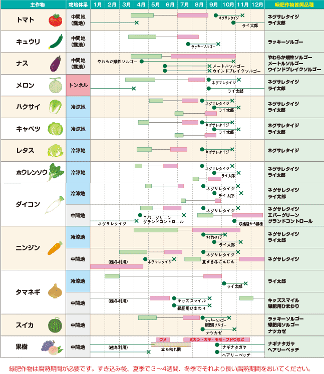 緑肥作物を取り入れた作付体系例の表
