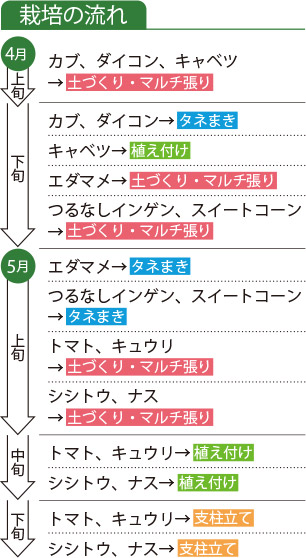栽培の流れ