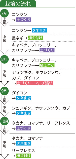 栽培の流れ
