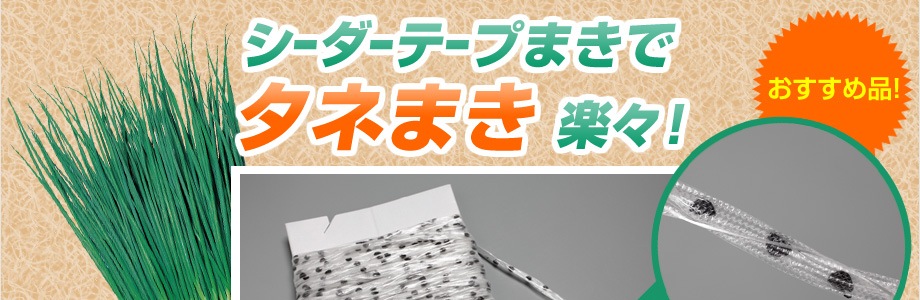 シーダーテープまきでタネまき楽々!