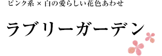 sNn~̈炵ԐF킹 u[K[f