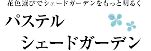 ԐFIтŃVF[hK[fƖ邭pXeVF[hK[f