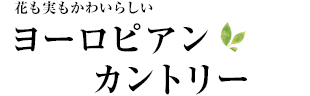 Ԃ킢炵
[sAJg[