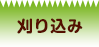 荞
