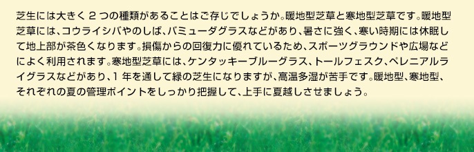 Őɂ͑傫2̎ނ邱Ƃ͂ł傤Bgn^őƊn^őłBgn^őɂ́ARECVô΁Ao~[_OXȂǂAɋAɂ͋xĒn㕔FȂ܂B̉񕜗͂ɗDĂ邽߁AX|[cOEhLȂǂɂ悭p܂Bn^őɂ́AP^bL[u[OXAg[tFXNAyjACOXȂǂA1Nʂė΂̎ŐɂȂ܂AłBgn^An^Aꂼ̉Ă̊Ǘ|CgcāAɉĉz܂傤B