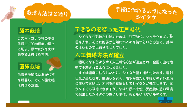 シイタケの原木栽培の方法を解説！ | 種・苗・球根・ガーデニング用品・農業資材の通販サイト【タキイネット通販】