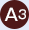 A3