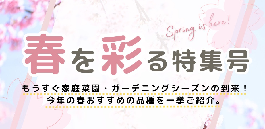 春を彩る特集号トップイメージ