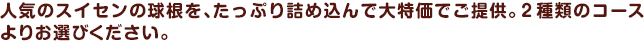 lC̃XCZ̋AՂlߍőł񋟁B2ނ̃R[X肨IтB
