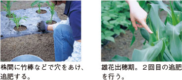 3.追肥