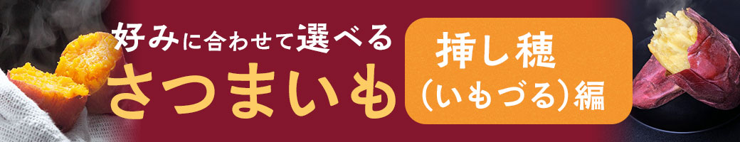 さつまいも-挿し穂いもづる編