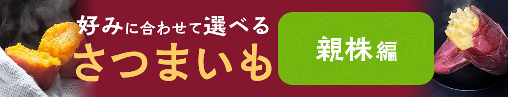 さつまいも-親株編