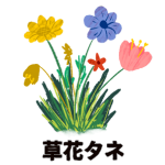 【草花タネ】