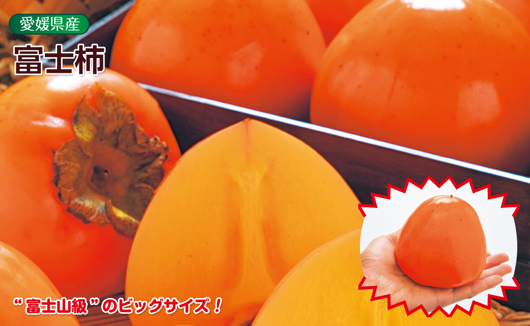 富士柿