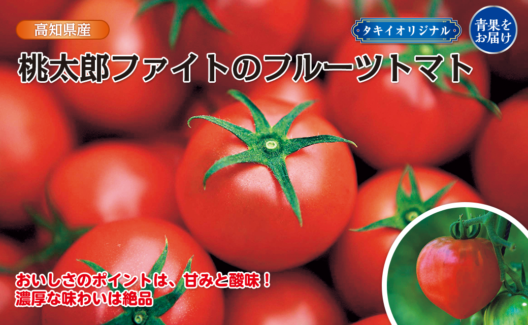 桃太郎ファイトのフルーツトマト