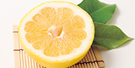 柑橘